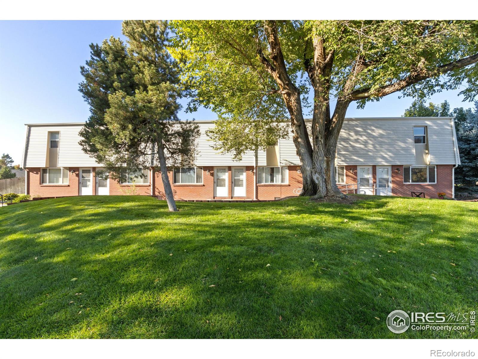 MLS Image #15 for 219  chestnut street,windsor, Colorado