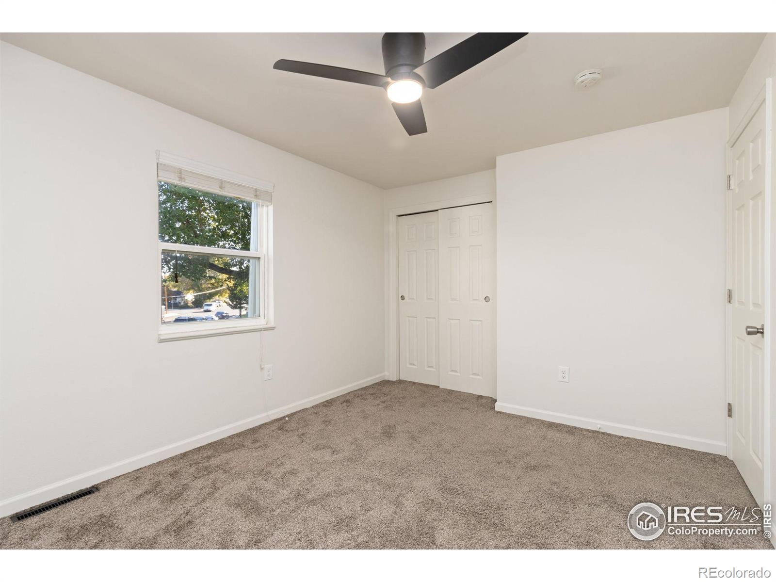 MLS Image #9 for 219  chestnut street,windsor, Colorado