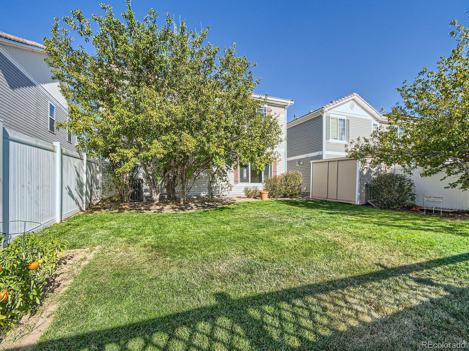 MLS Image #26 for 5575  jebel court,denver, Colorado