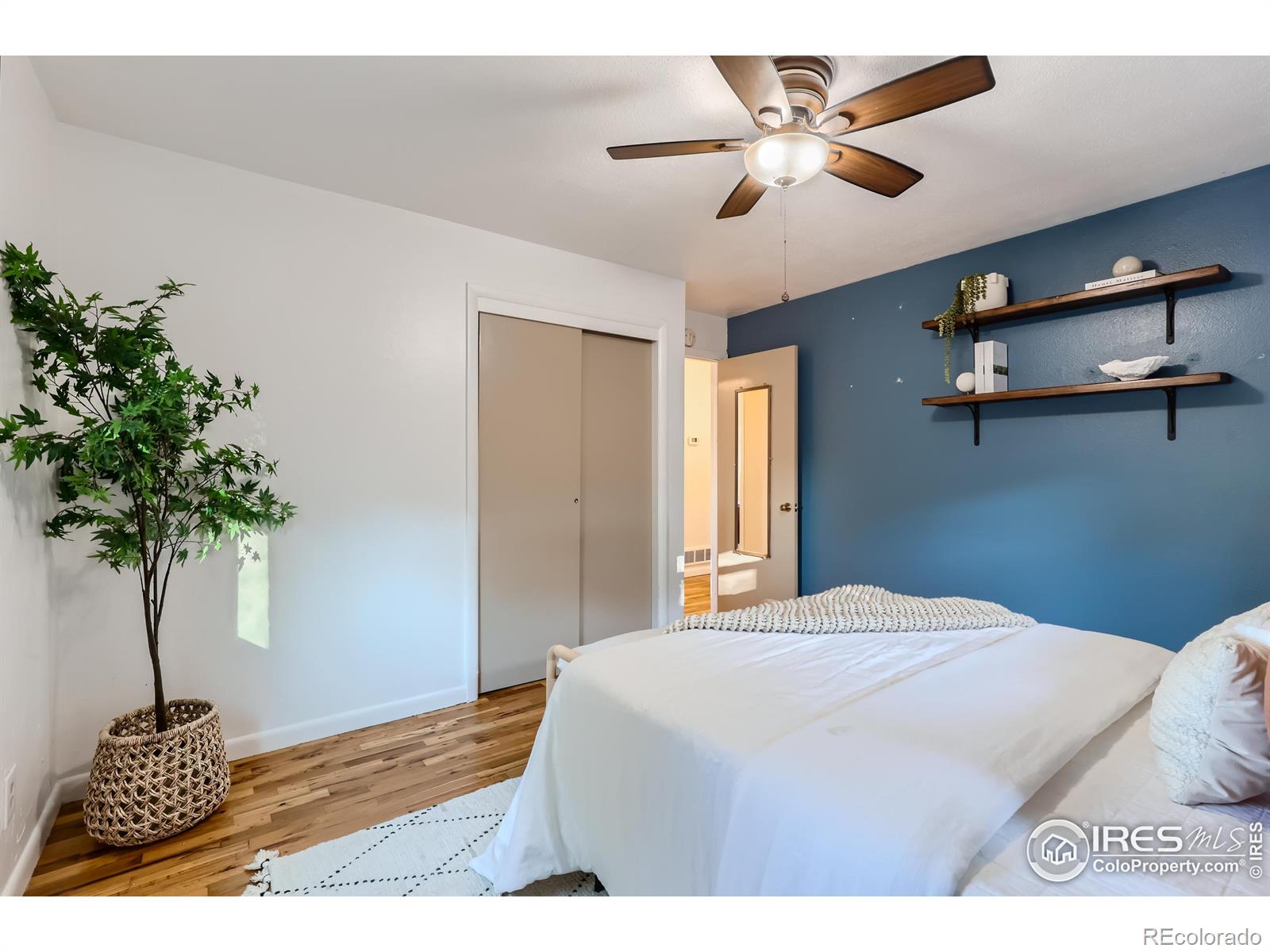 MLS Image #10 for 25  reed place,longmont, Colorado