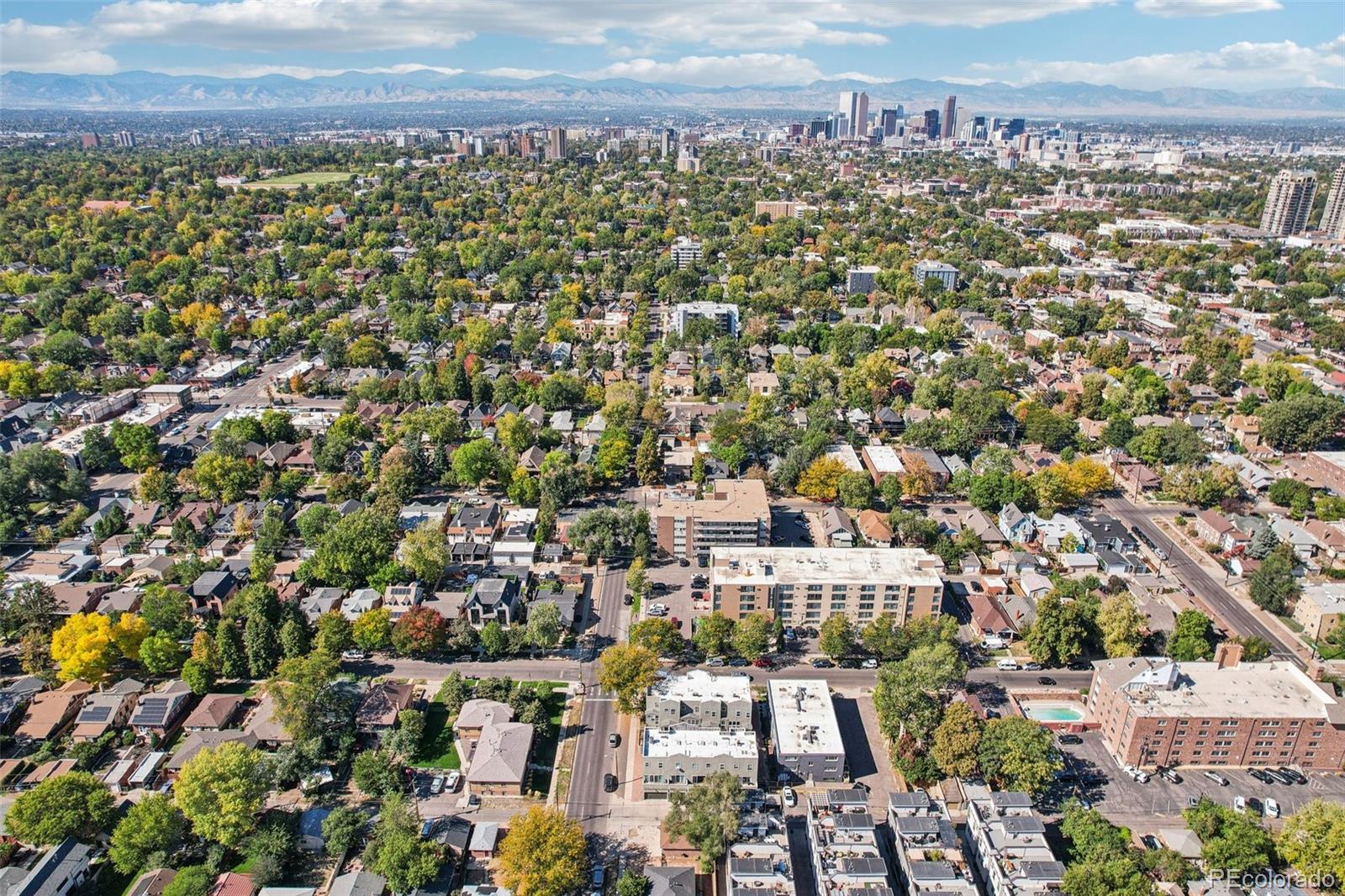 MLS Image #44 for 1300  garfield street,denver, Colorado