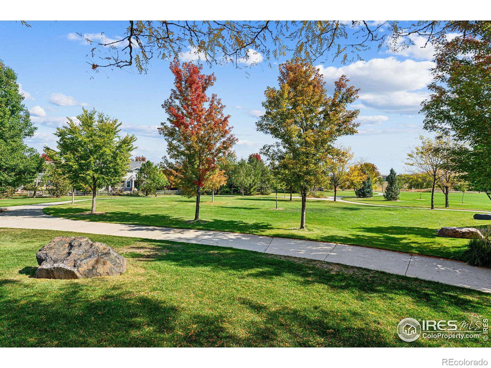 MLS Image #37 for 1023  mircos street,erie, Colorado