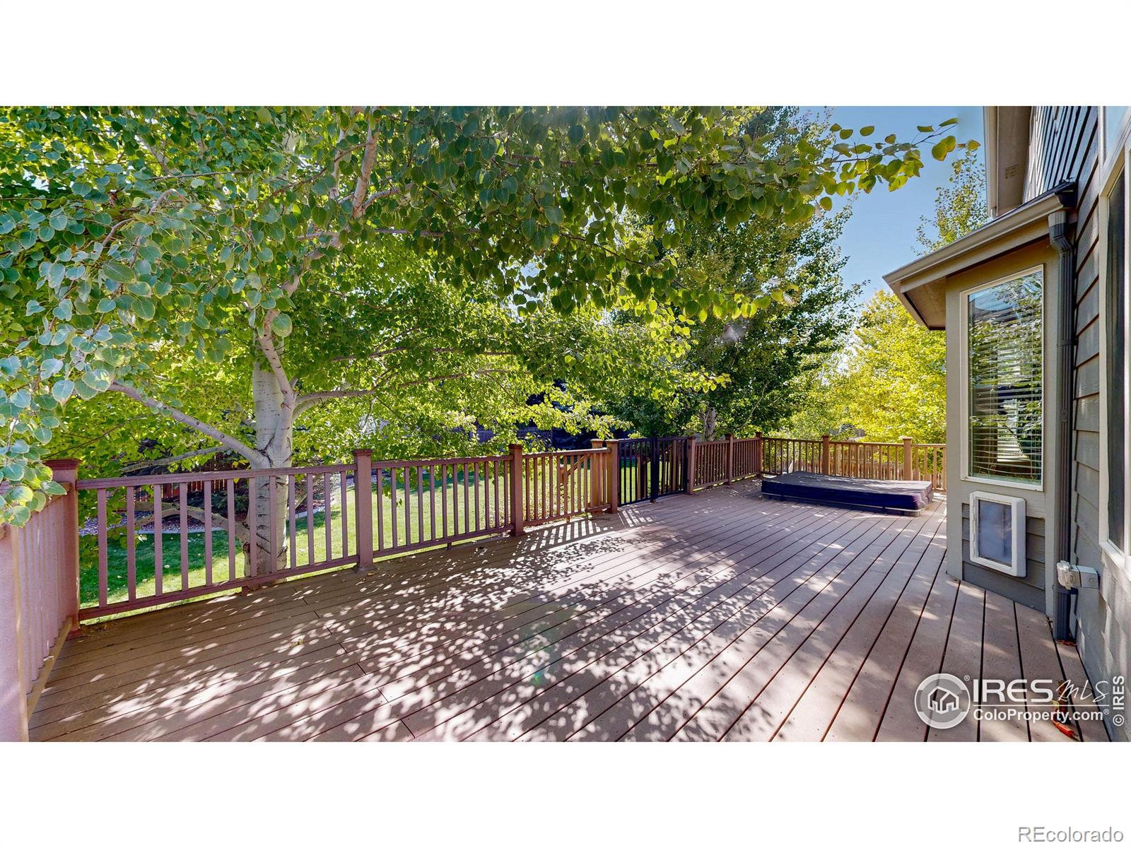 MLS Image #34 for 2665  pochard court,johnstown, Colorado