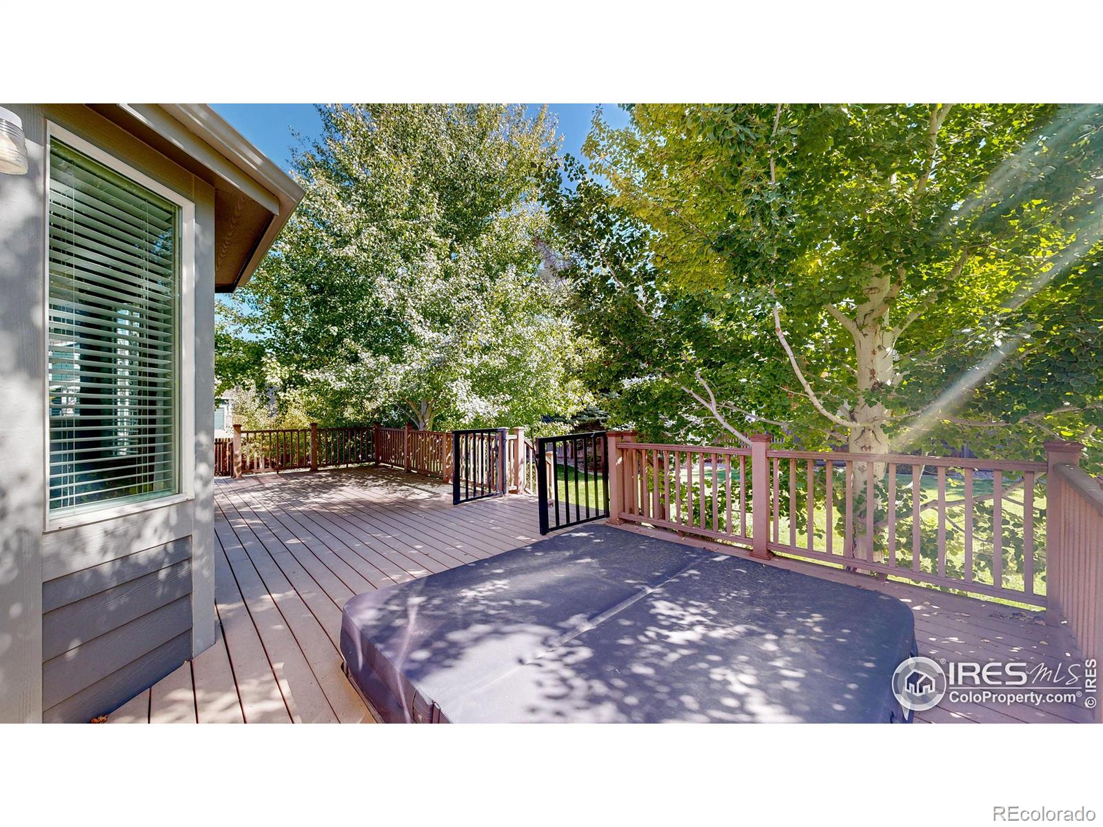 MLS Image #6 for 2665  pochard court,johnstown, Colorado