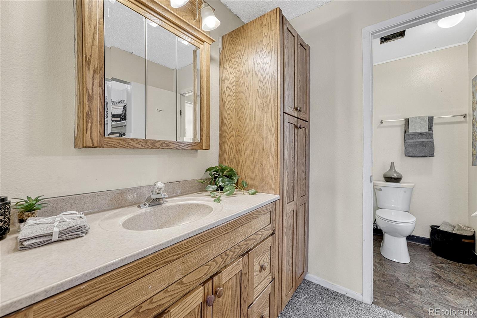 MLS Image #19 for 1220 s carson way,aurora, Colorado
