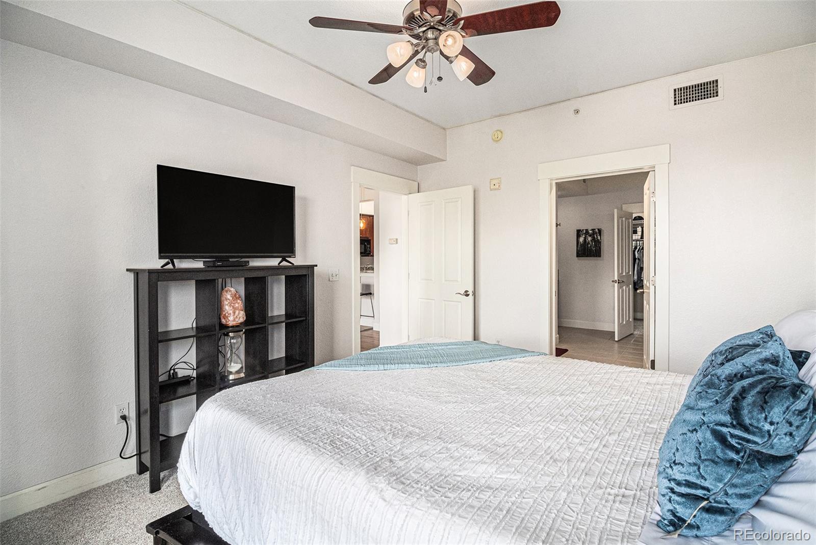 MLS Image #10 for 1699 n downing street,denver, Colorado