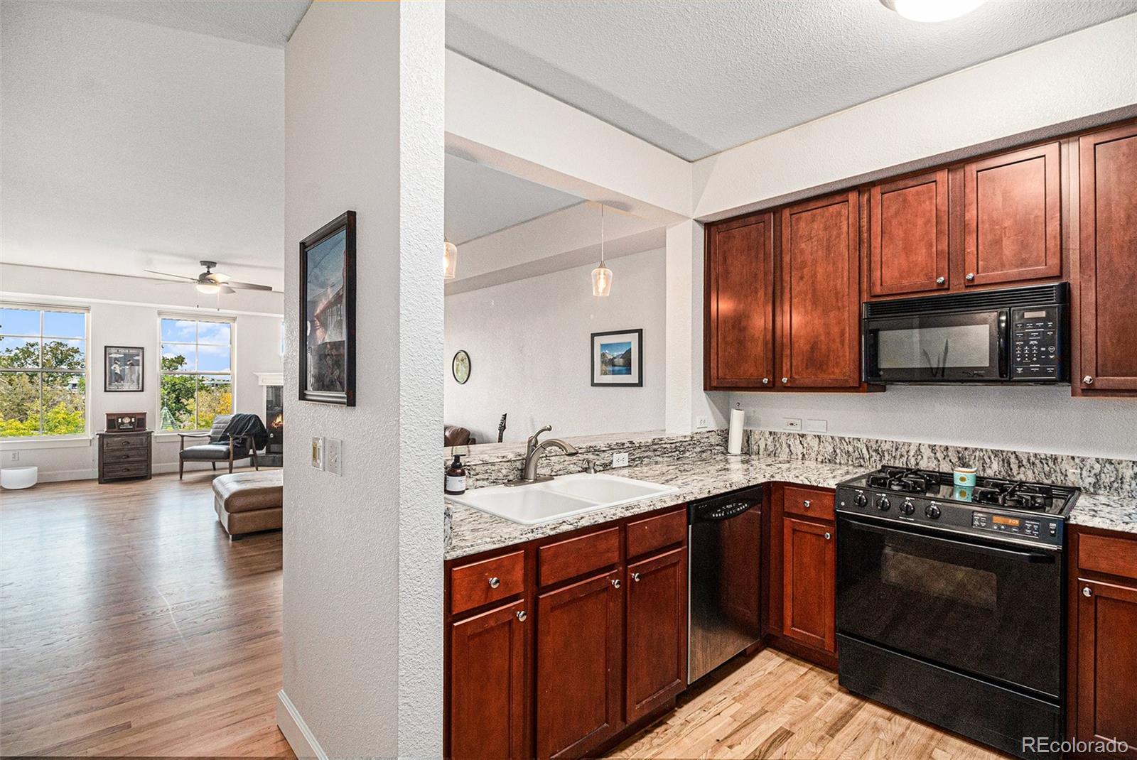 MLS Image #5 for 1699 n downing street,denver, Colorado