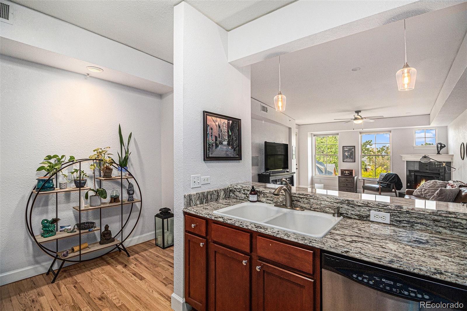 MLS Image #6 for 1699 n downing street,denver, Colorado