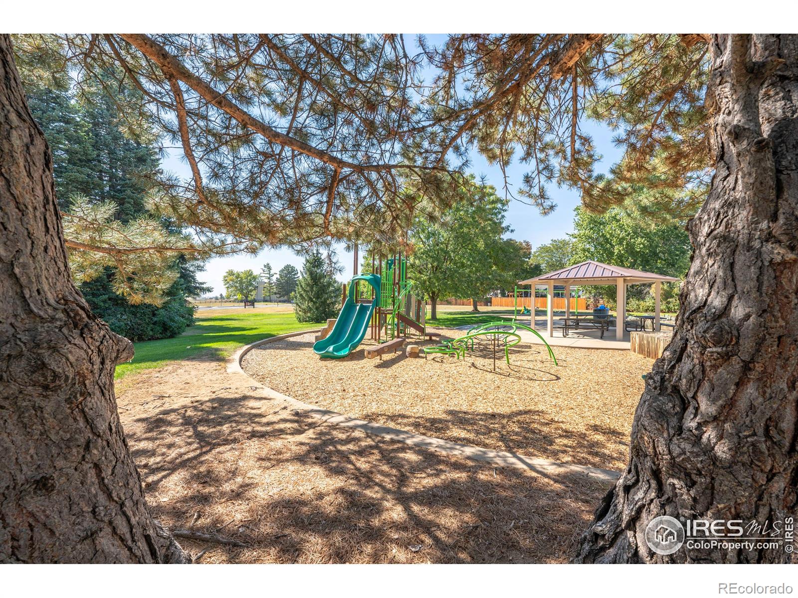 MLS Image #34 for 947 w maple court,louisville, Colorado