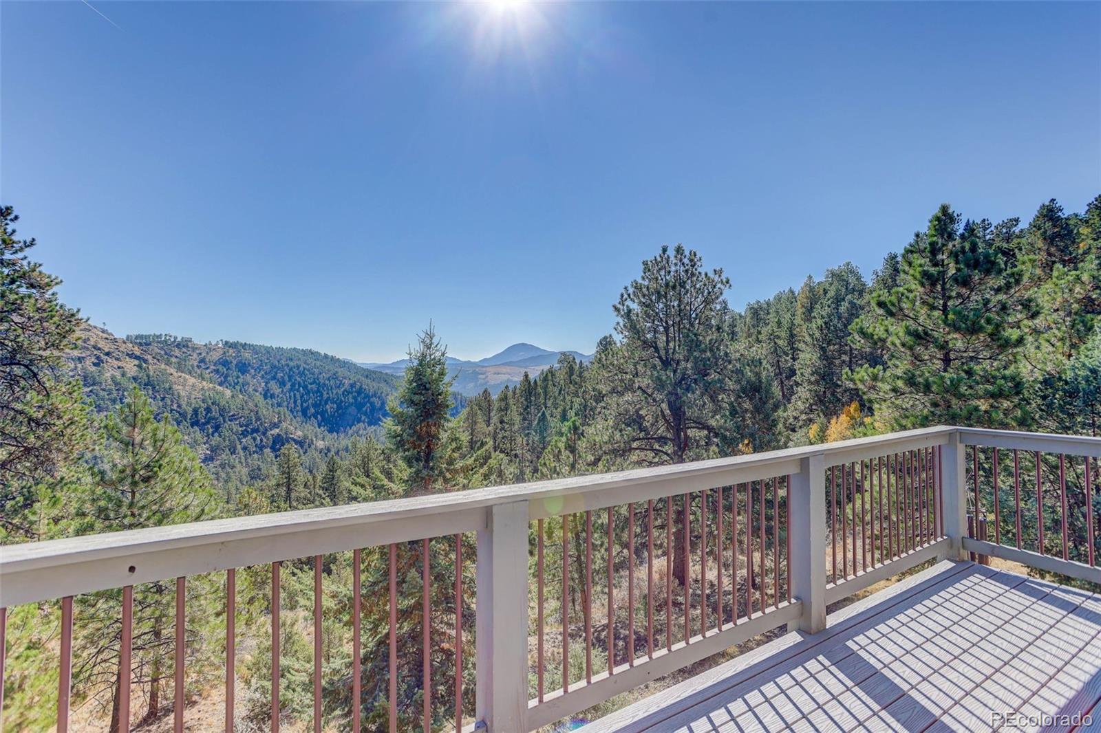 MLS Image #8 for 98  teal lane,bailey, Colorado