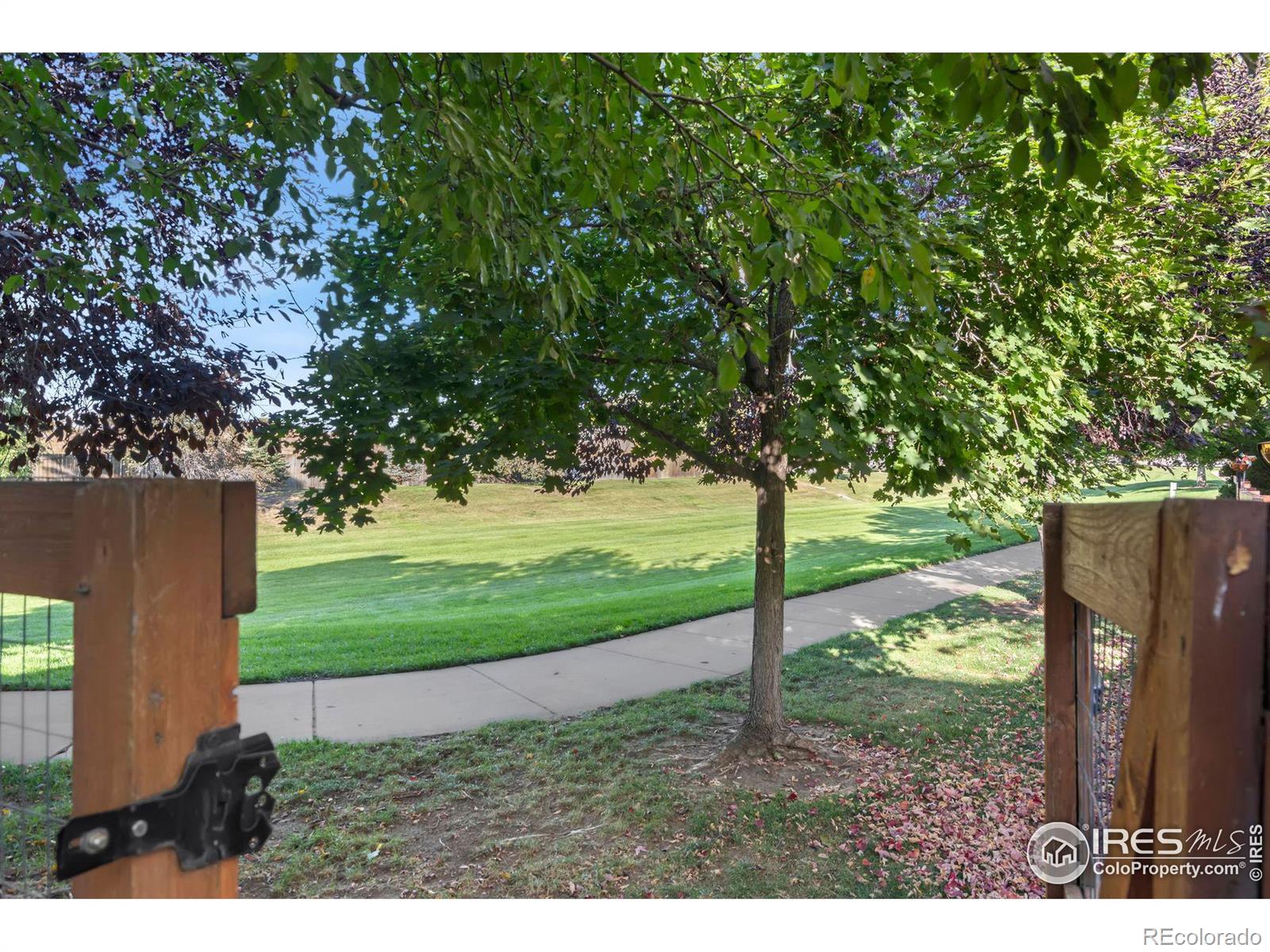 MLS Image #34 for 6856  kaslam court,fort collins, Colorado