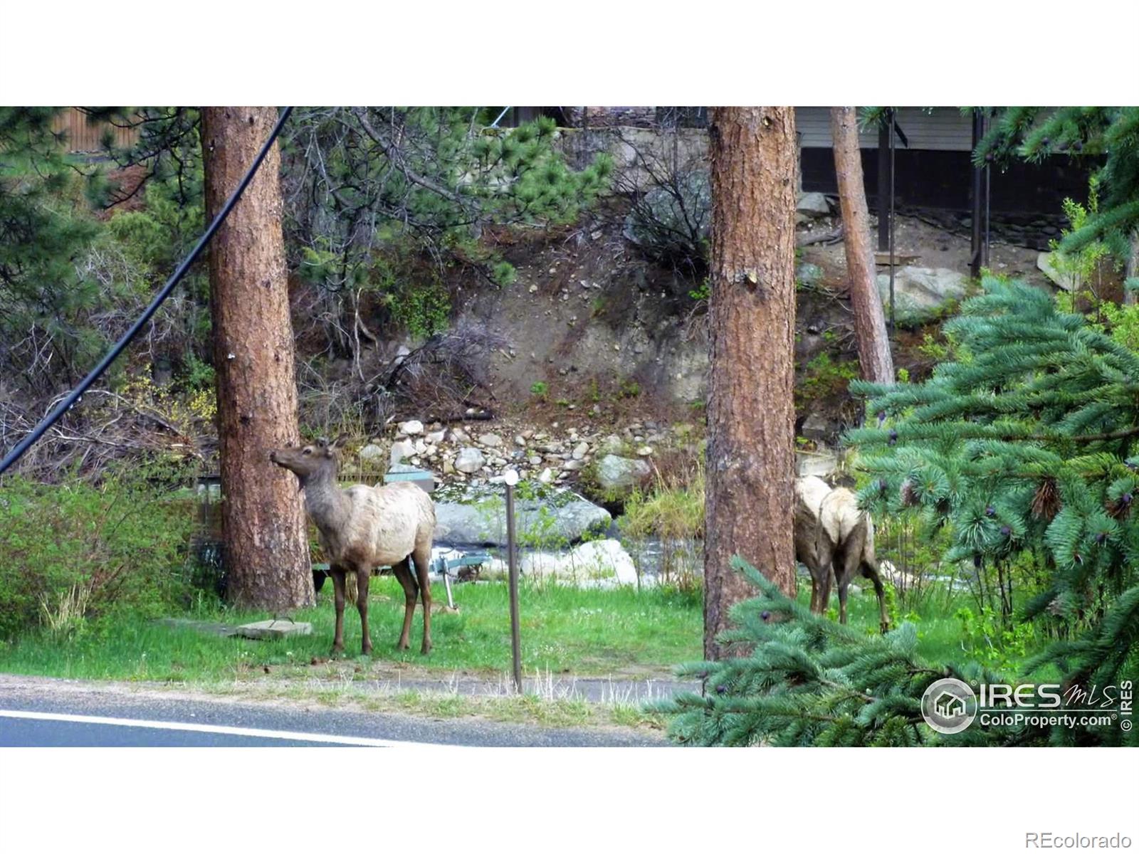 MLS Image #21 for 2392 w us highway 34 ,drake, Colorado