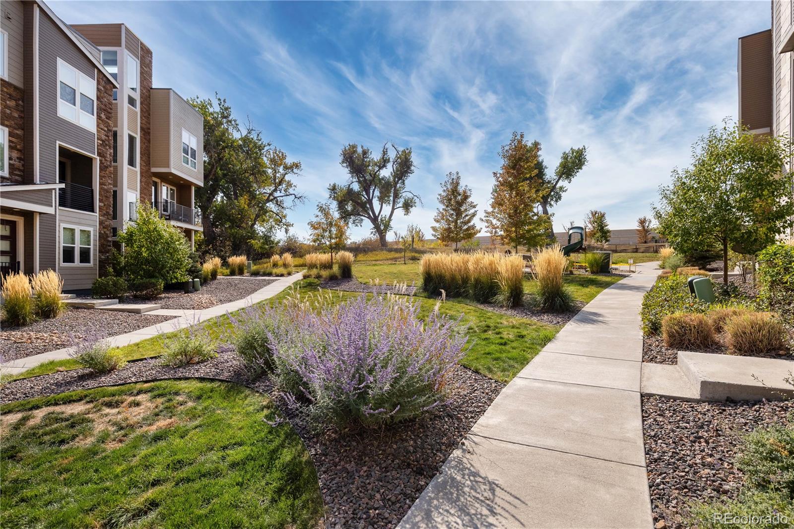 MLS Image #47 for 2633  channel drive,highlands ranch, Colorado