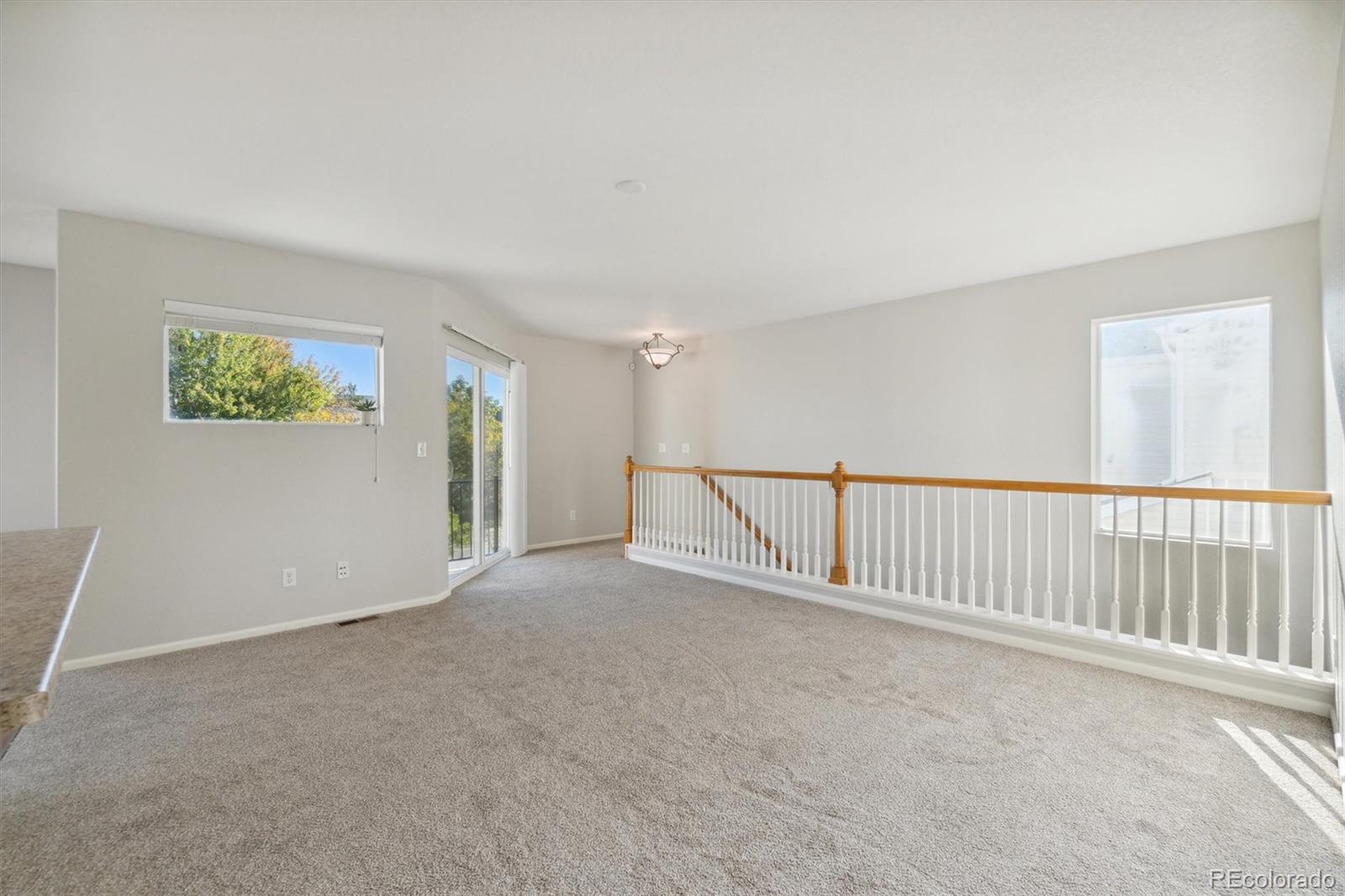 MLS Image #19 for 18642 e 46th place,denver, Colorado