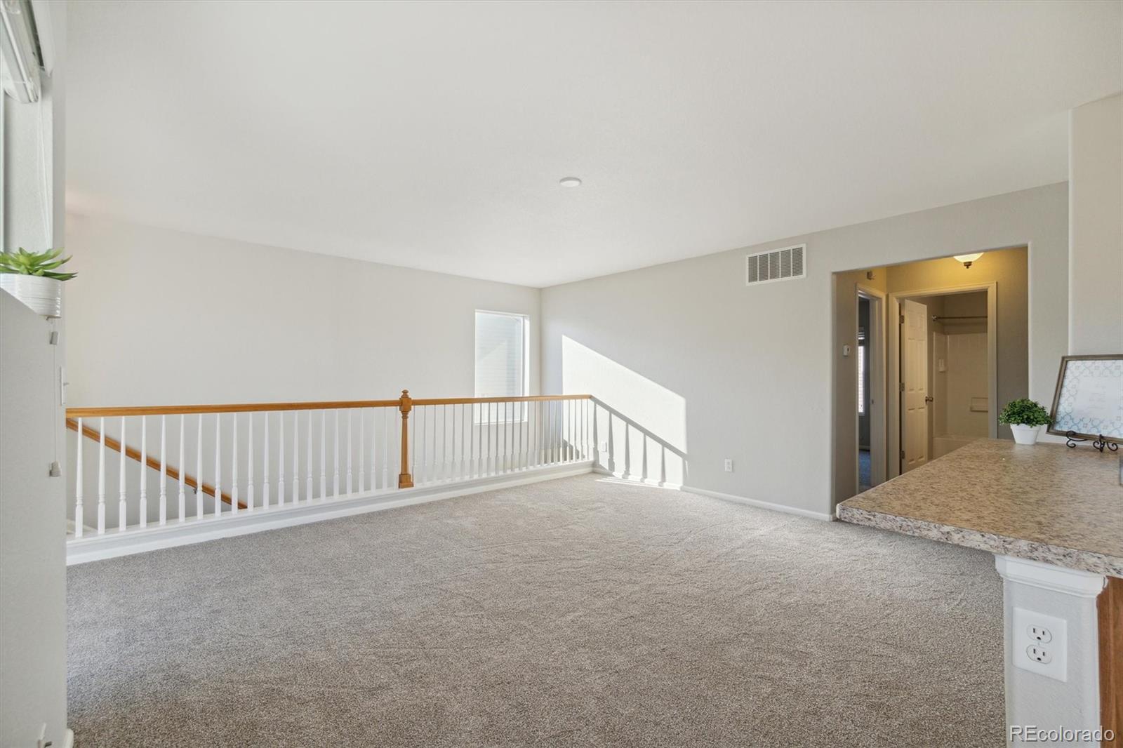 MLS Image #20 for 18642 e 46th place,denver, Colorado