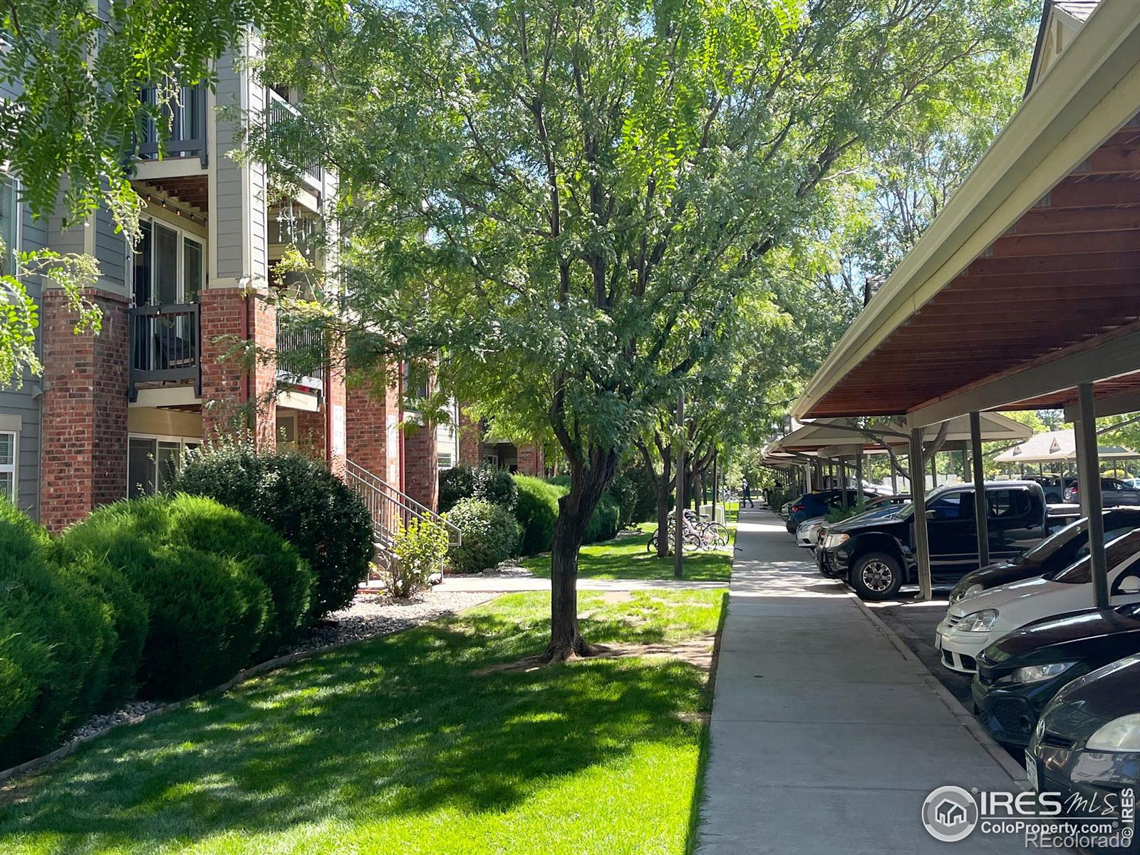 MLS Image #15 for 2133  krisron road,fort collins, Colorado