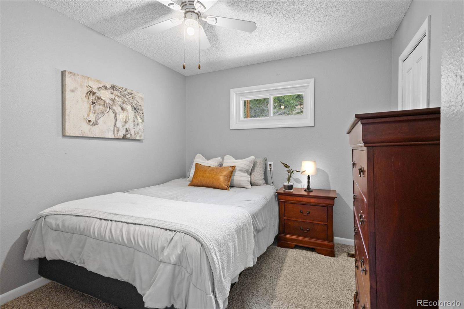 MLS Image #13 for 8228 w highway 24 ,cascade, Colorado