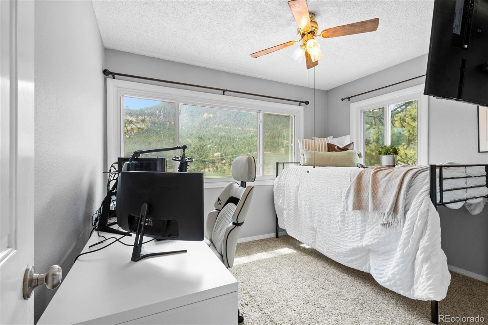MLS Image #14 for 8228 w highway 24 ,cascade, Colorado