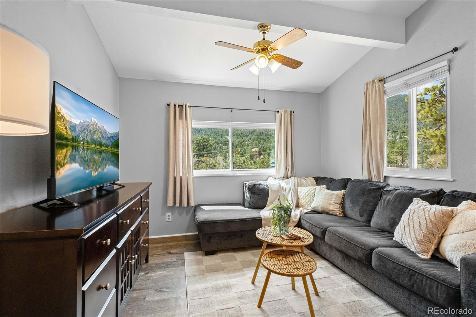 MLS Image #3 for 8228 w highway 24 ,cascade, Colorado