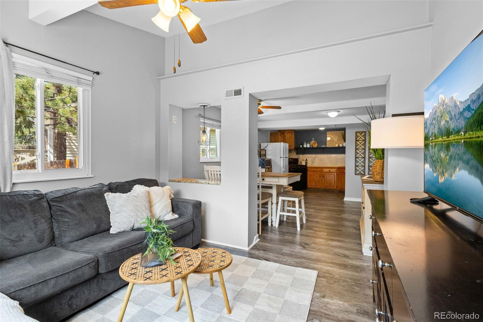 MLS Image #4 for 8228 w highway 24 ,cascade, Colorado