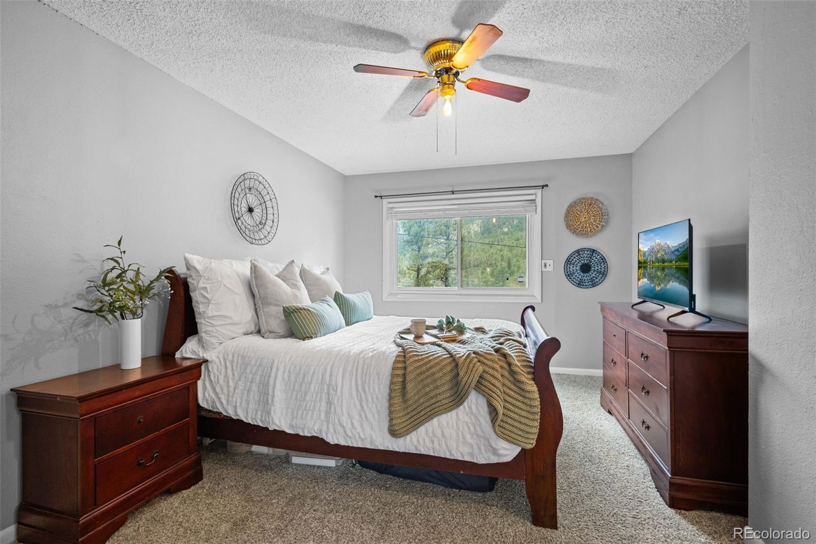 MLS Image #8 for 8228 w highway 24 ,cascade, Colorado