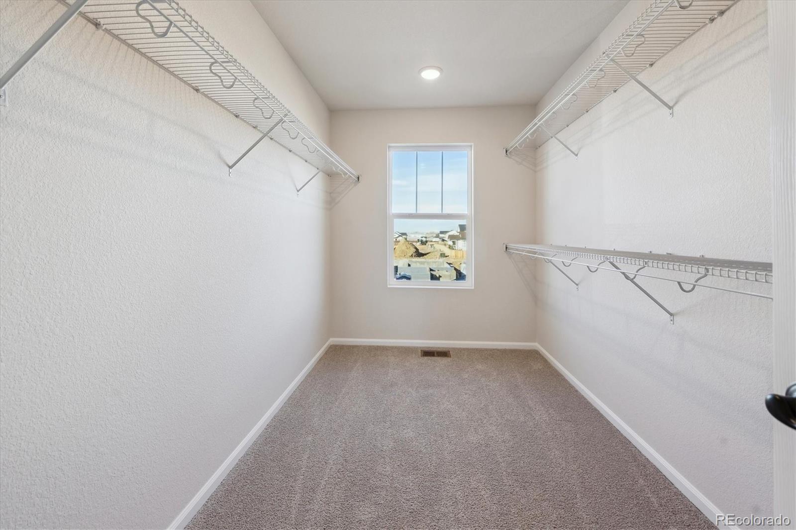 MLS Image #17 for 1120  joseph place,erie, Colorado
