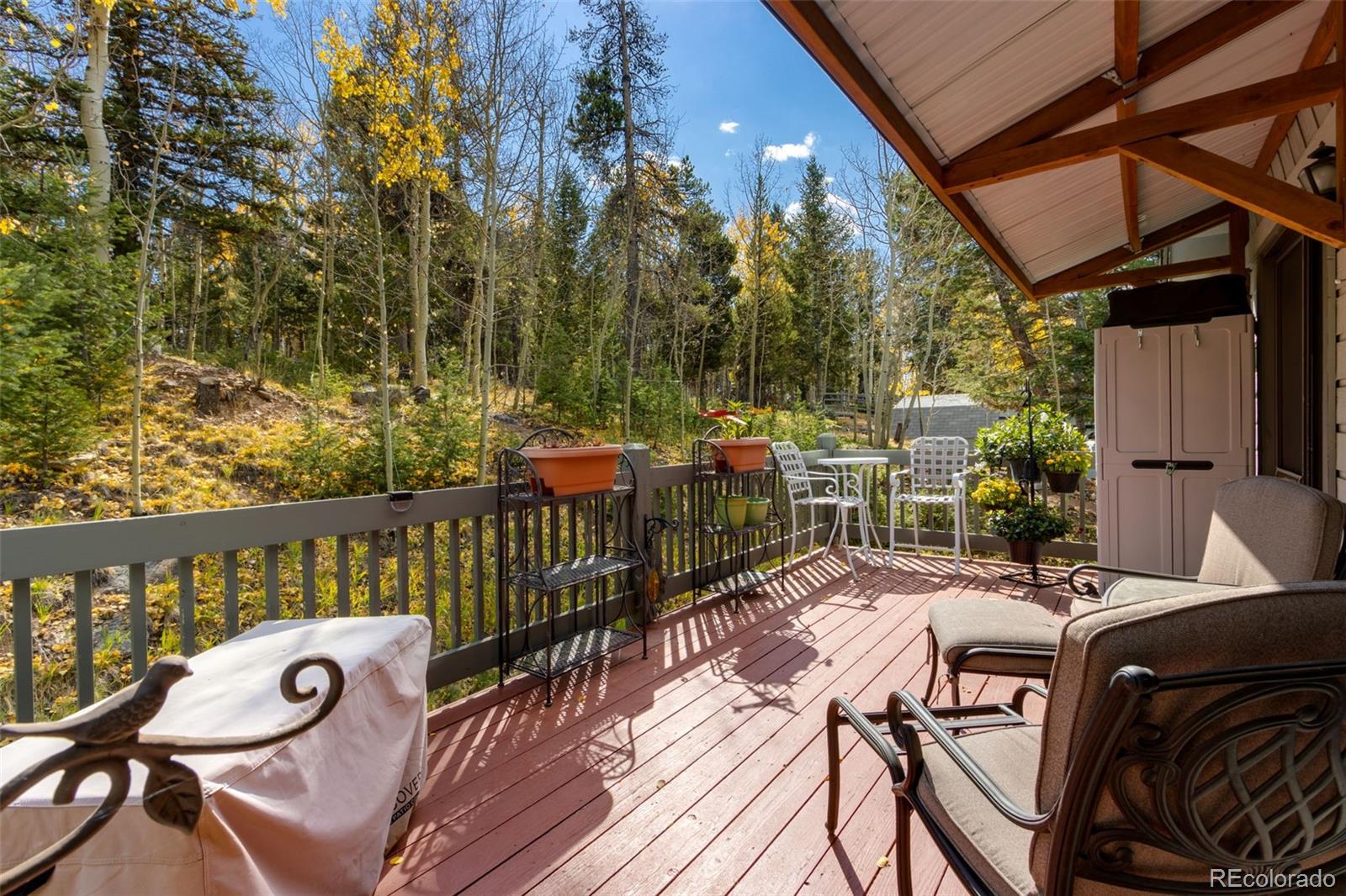 MLS Image #30 for 11657  leavenworth drive,conifer, Colorado