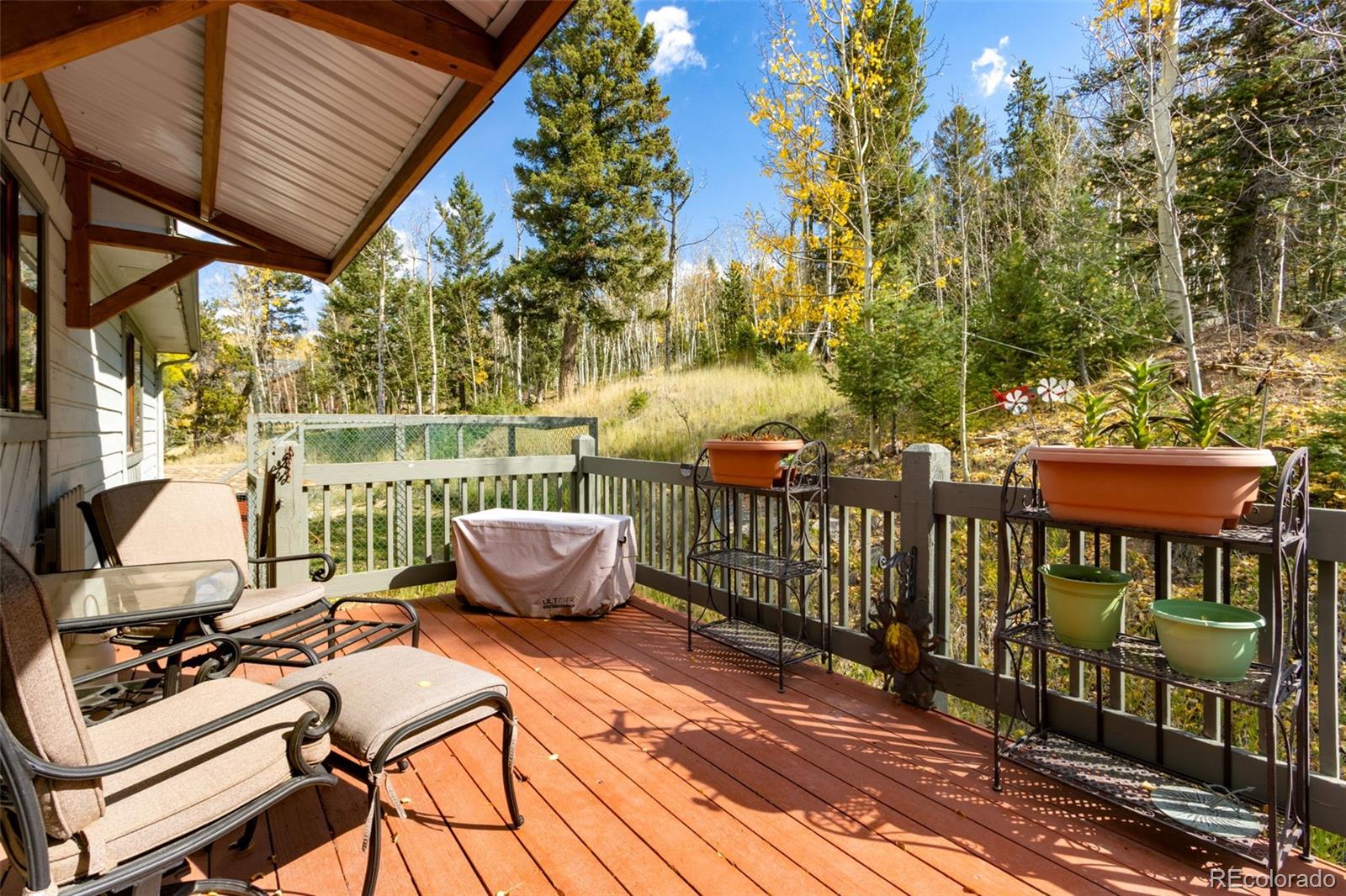 MLS Image #32 for 11657  leavenworth drive,conifer, Colorado