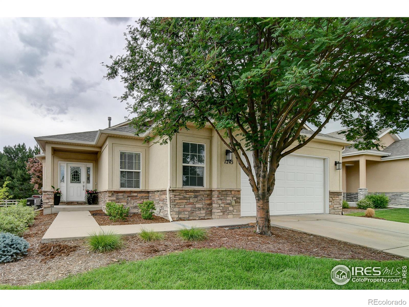 CMA Image for 600  red tail drive,Eaton, Colorado