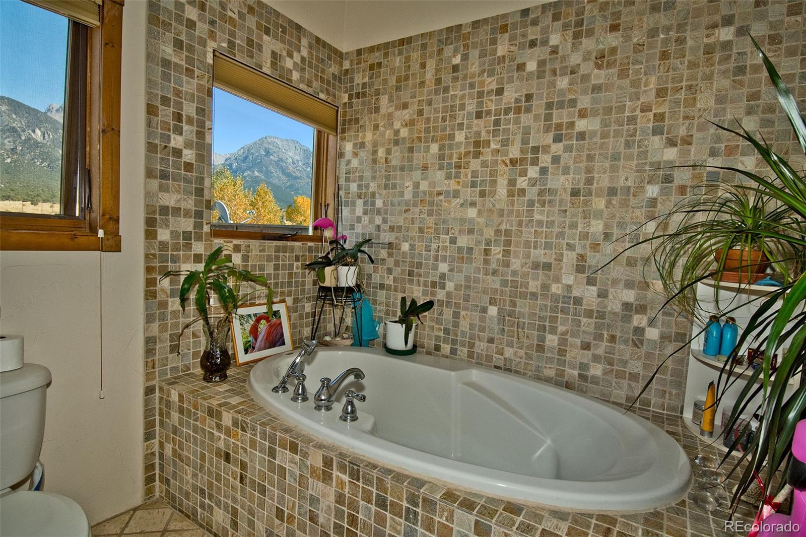 MLS Image #29 for 8  shaymars way,crestone, Colorado