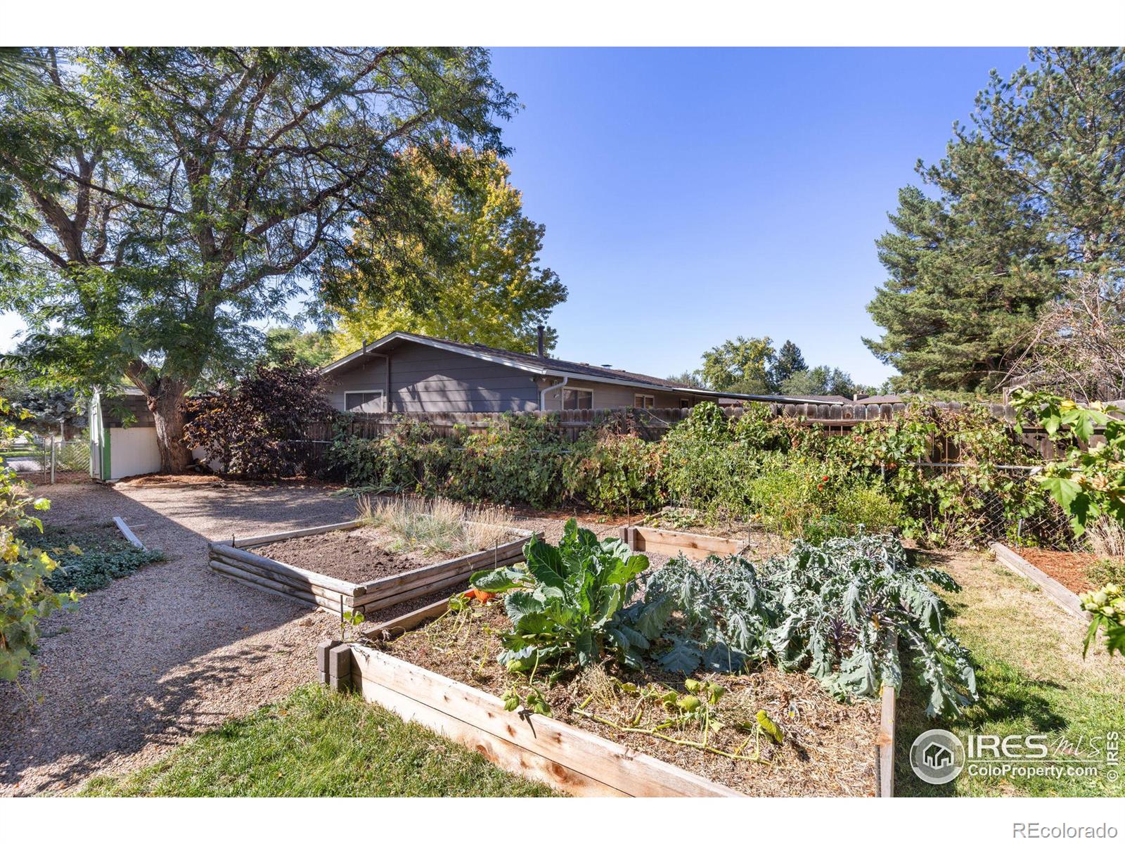 MLS Image #24 for 1336  grays peak drive,longmont, Colorado