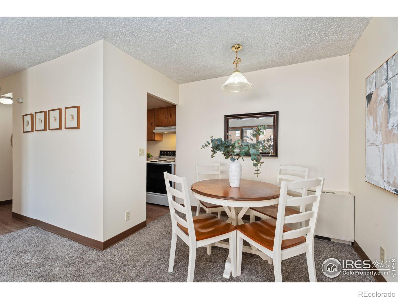 MLS Image #10 for 421 s howes street,fort collins, Colorado