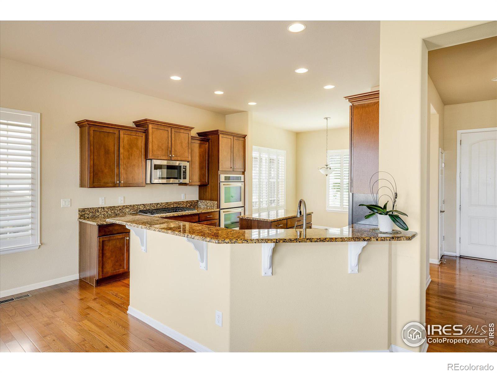 MLS Image #9 for 15993  torreys way,broomfield, Colorado