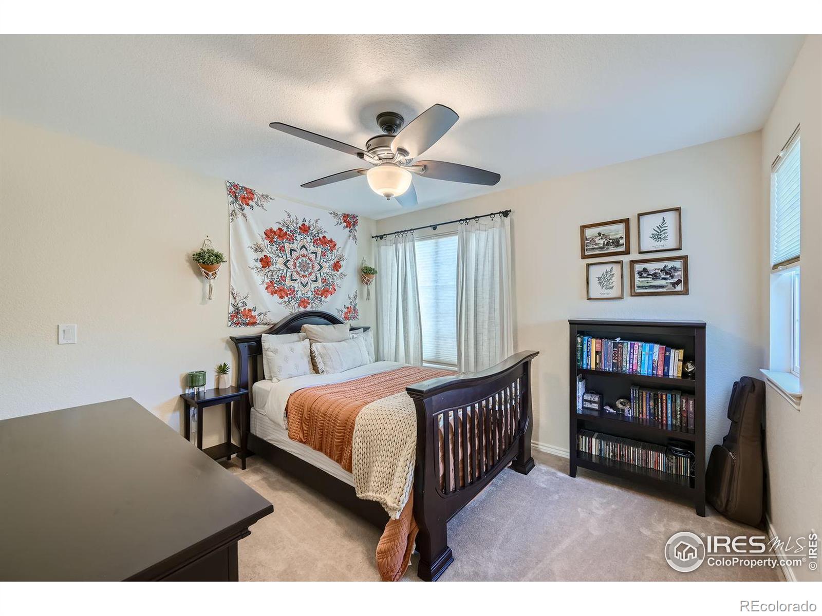 MLS Image #12 for 421 s parkside drive,longmont, Colorado