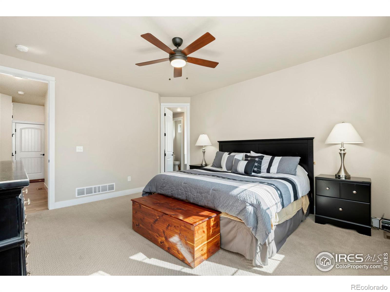 MLS Image #16 for 879  sunlight peak drive,severance, Colorado