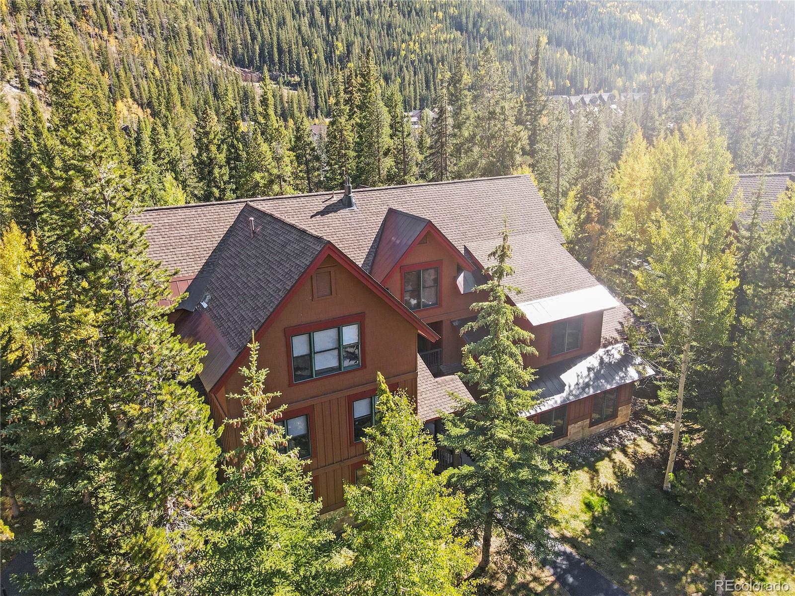 MLS Image #4 for 58  trappers crossing trail,dillon, Colorado