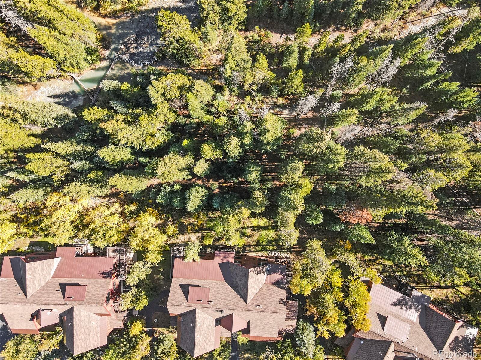 MLS Image #7 for 58  trappers crossing trail,dillon, Colorado