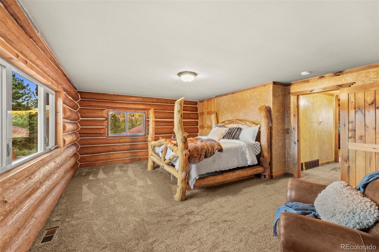 MLS Image #19 for 35  toms ranch road,lake george, Colorado