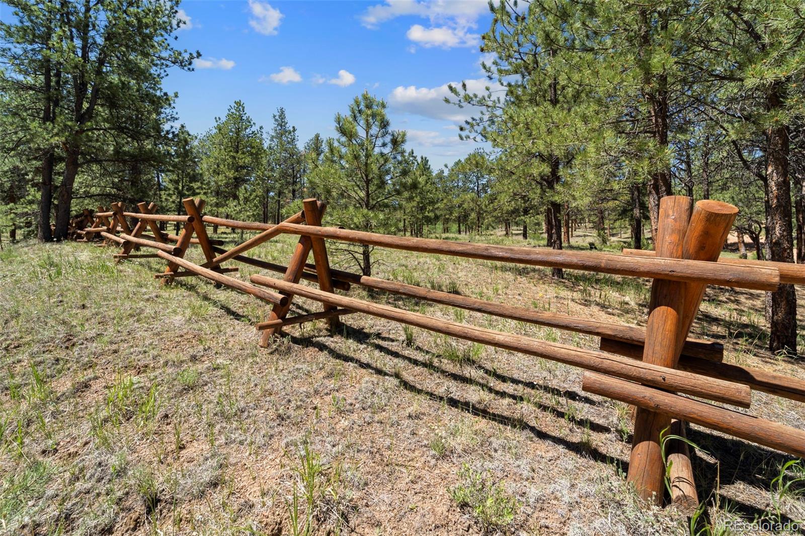 MLS Image #38 for 35  toms ranch road,lake george, Colorado