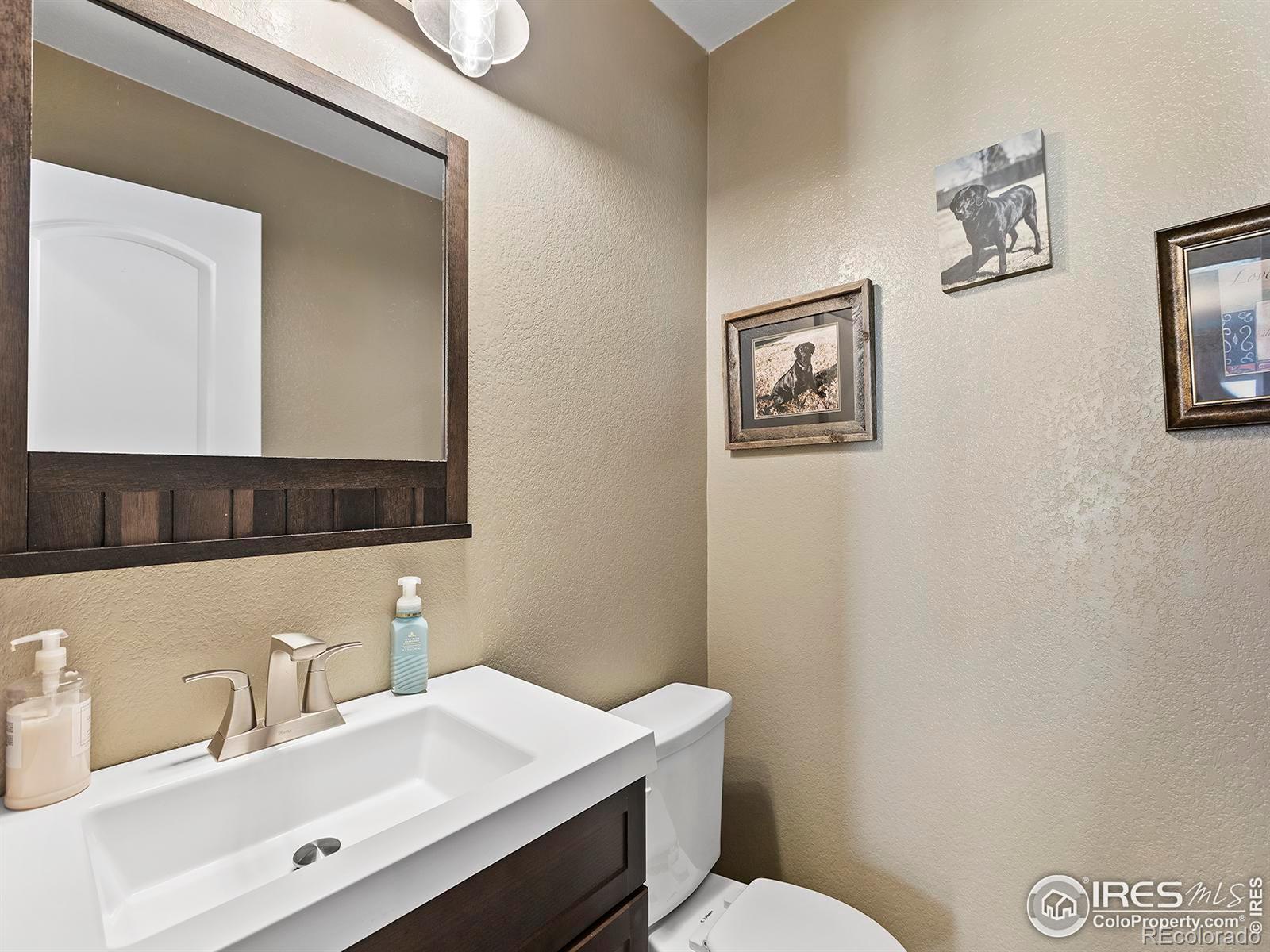 MLS Image #11 for 856  lakebrook court,windsor, Colorado