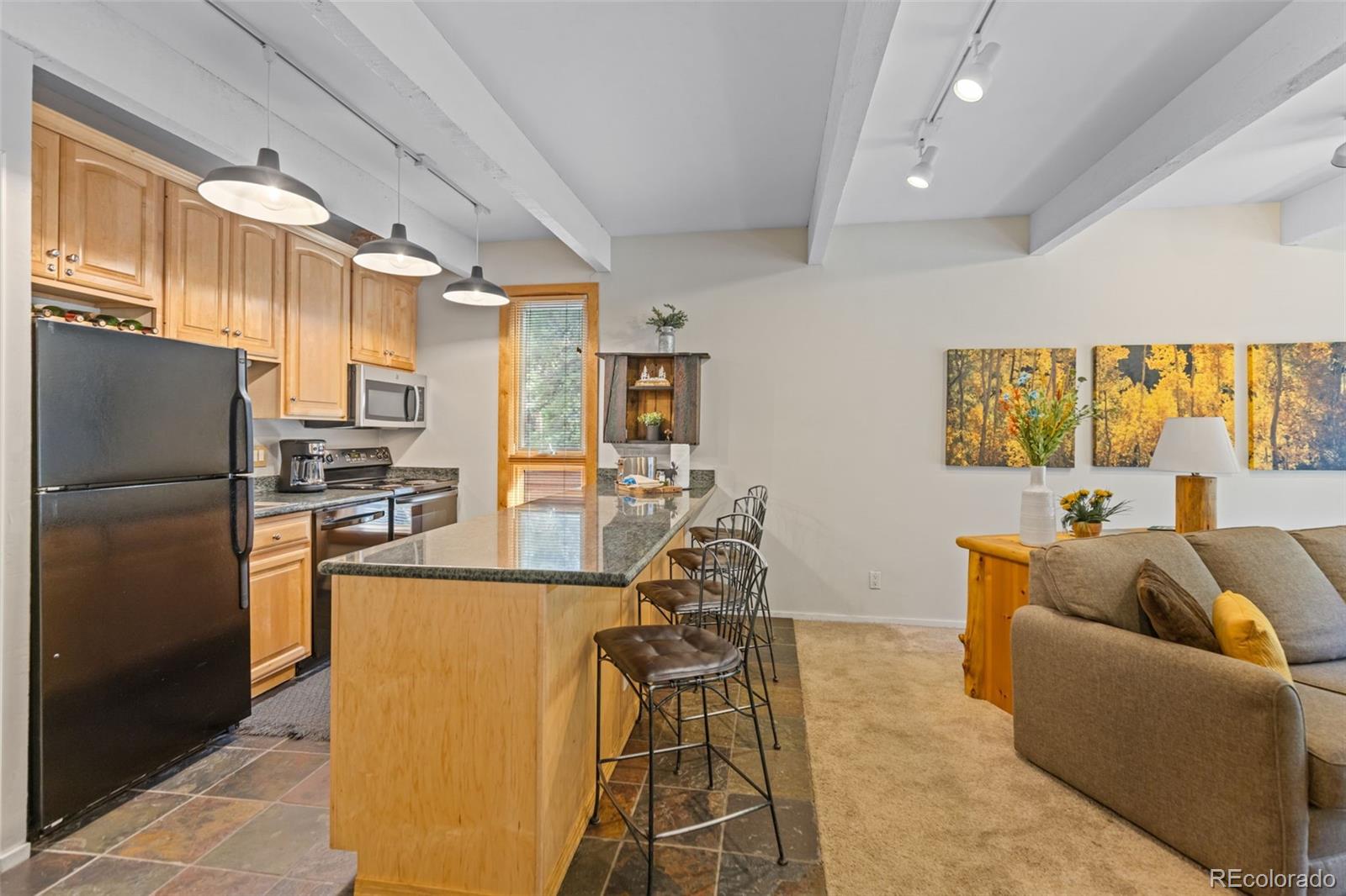 MLS Image #16 for 465  four o clock road w5,breckenridge, Colorado