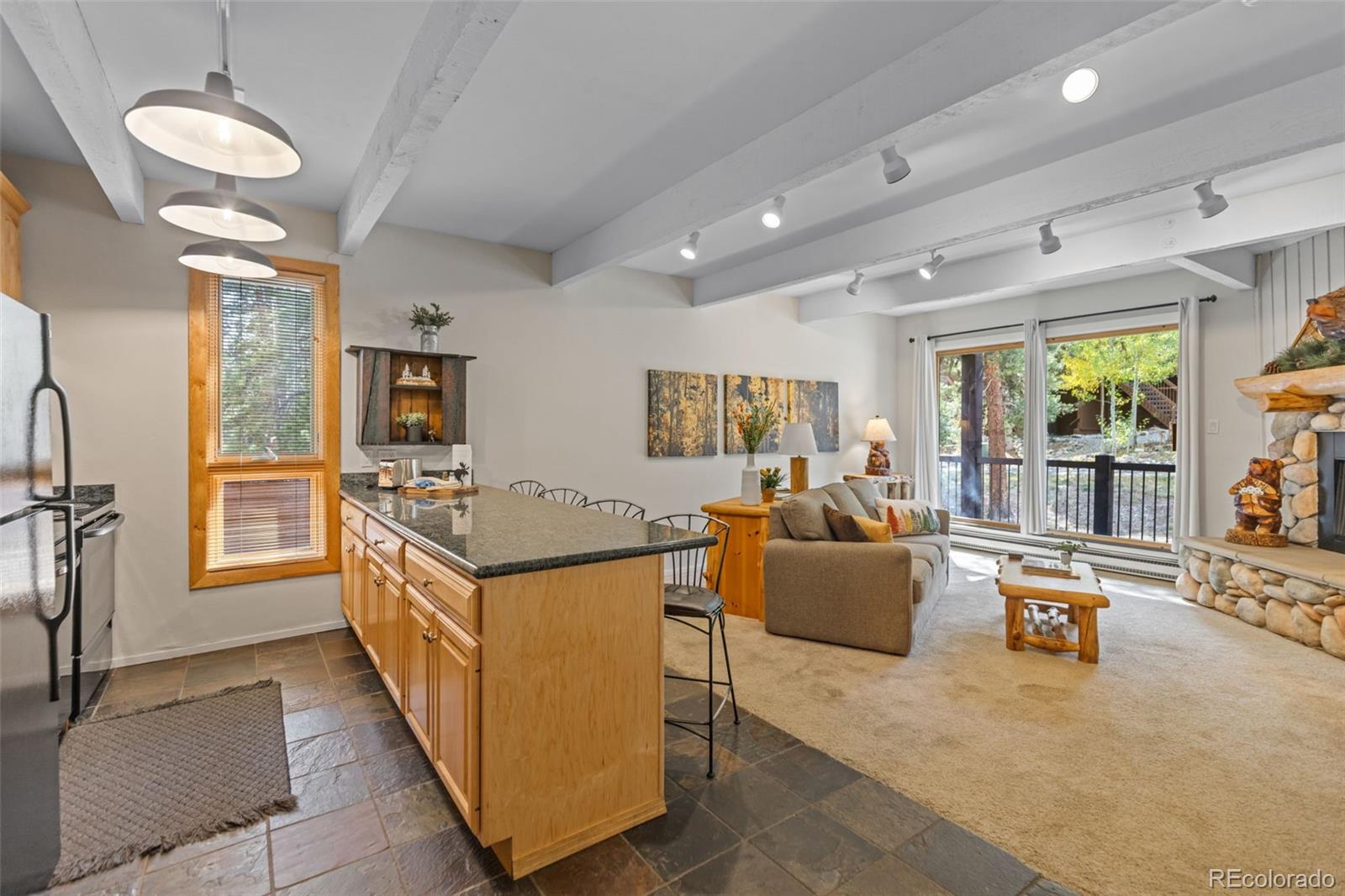 MLS Image #17 for 465  four o clock road w5,breckenridge, Colorado