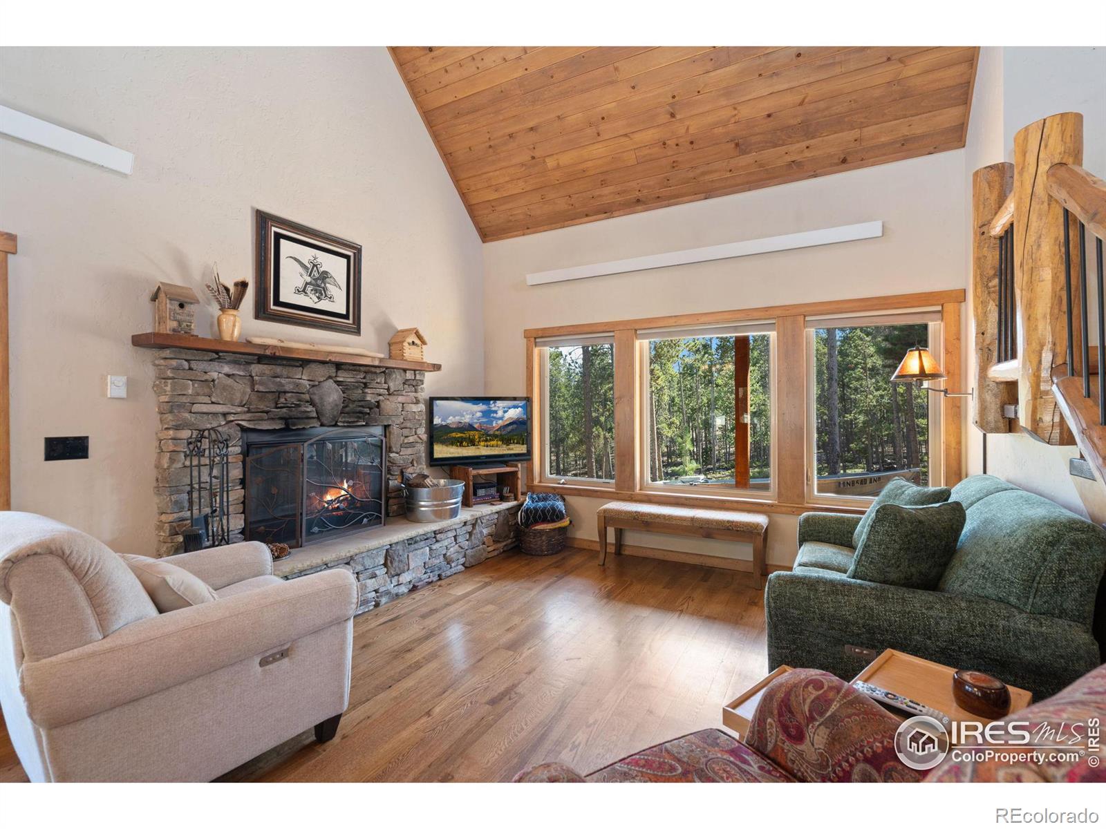 MLS Image #11 for 620  hatchetumi drive,red feather lakes, Colorado