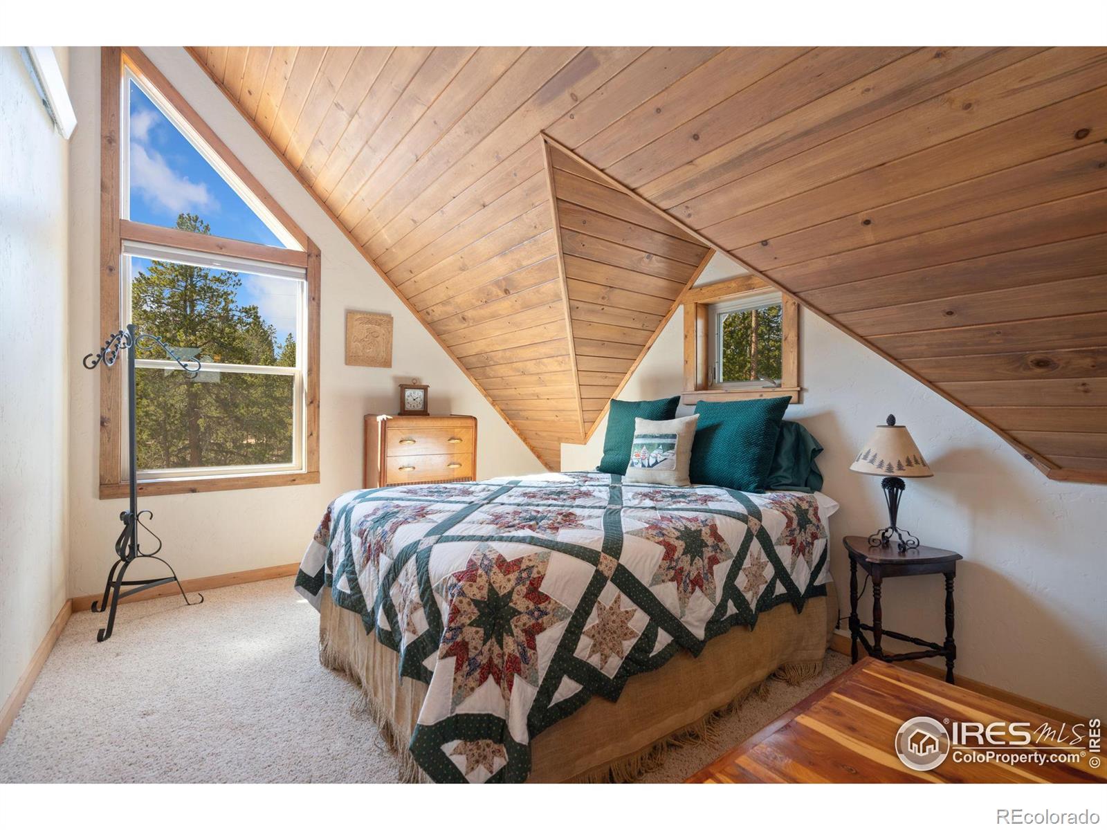 MLS Image #16 for 620  hatchetumi drive,red feather lakes, Colorado