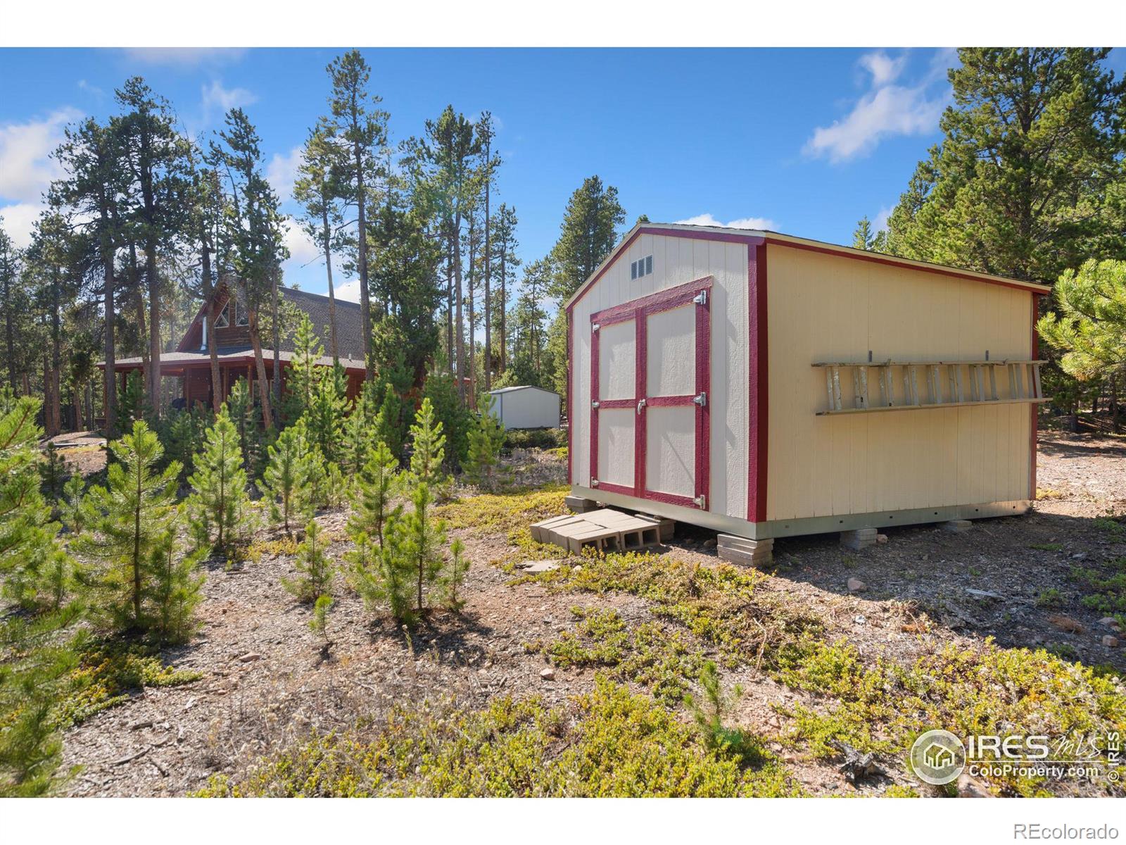 MLS Image #22 for 620  hatchetumi drive,red feather lakes, Colorado