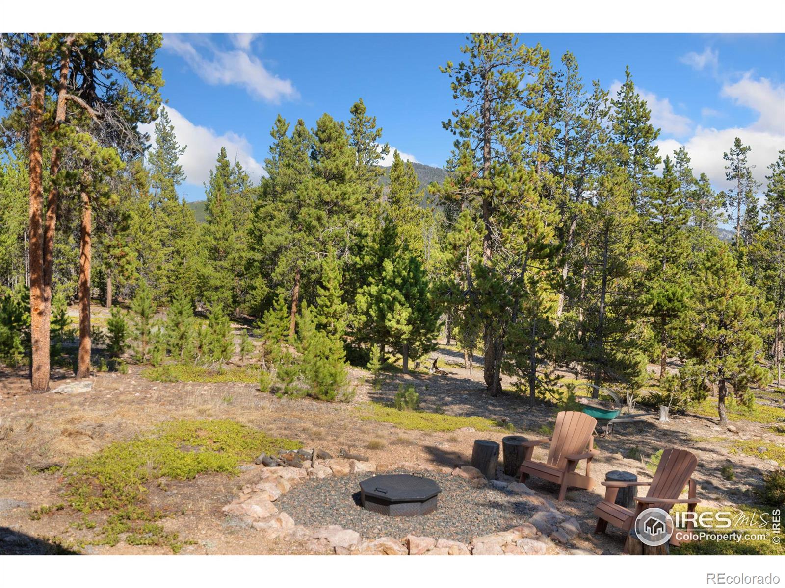 MLS Image #23 for 620  hatchetumi drive,red feather lakes, Colorado