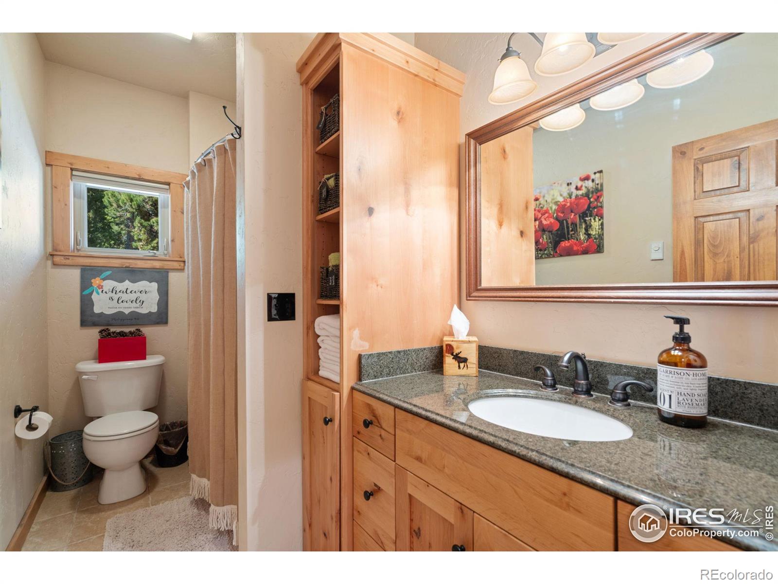 MLS Image #6 for 620  hatchetumi drive,red feather lakes, Colorado