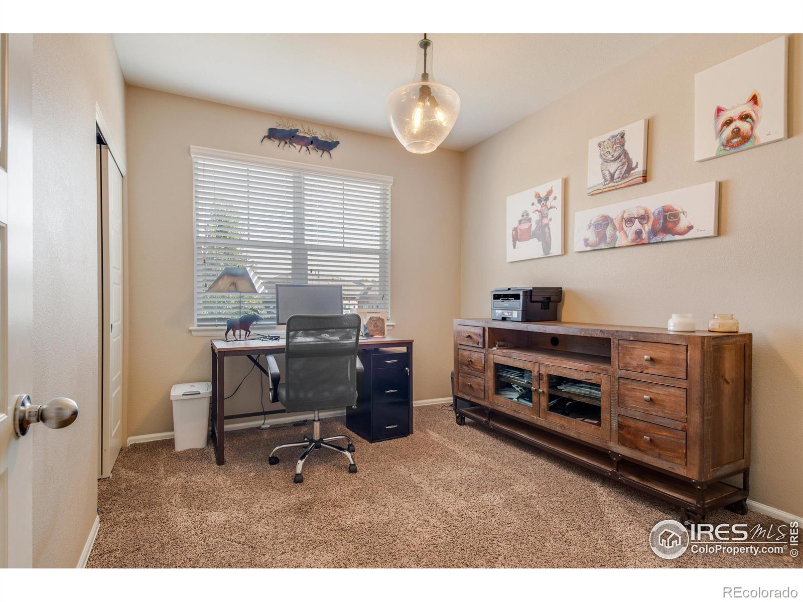 MLS Image #22 for 2259  french circle,longmont, Colorado