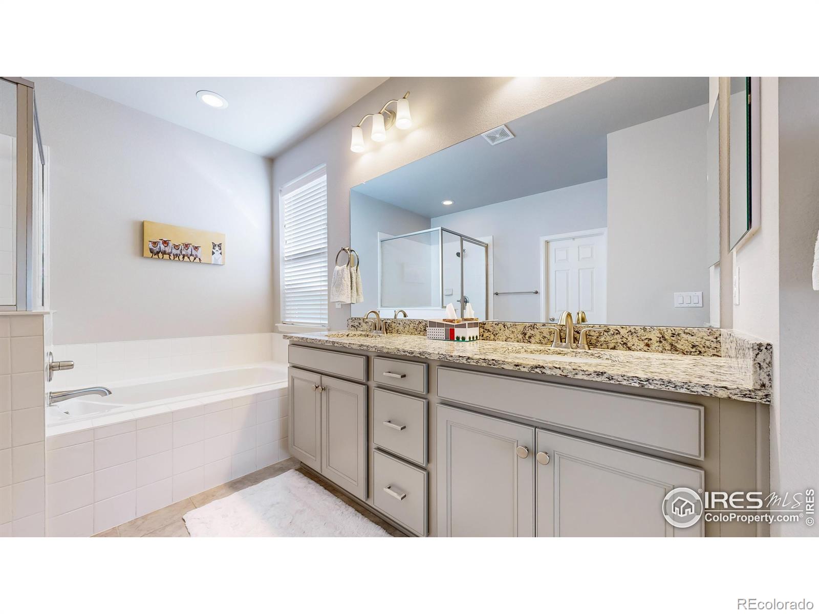 MLS Image #15 for 3183  booth falls drive,loveland, Colorado