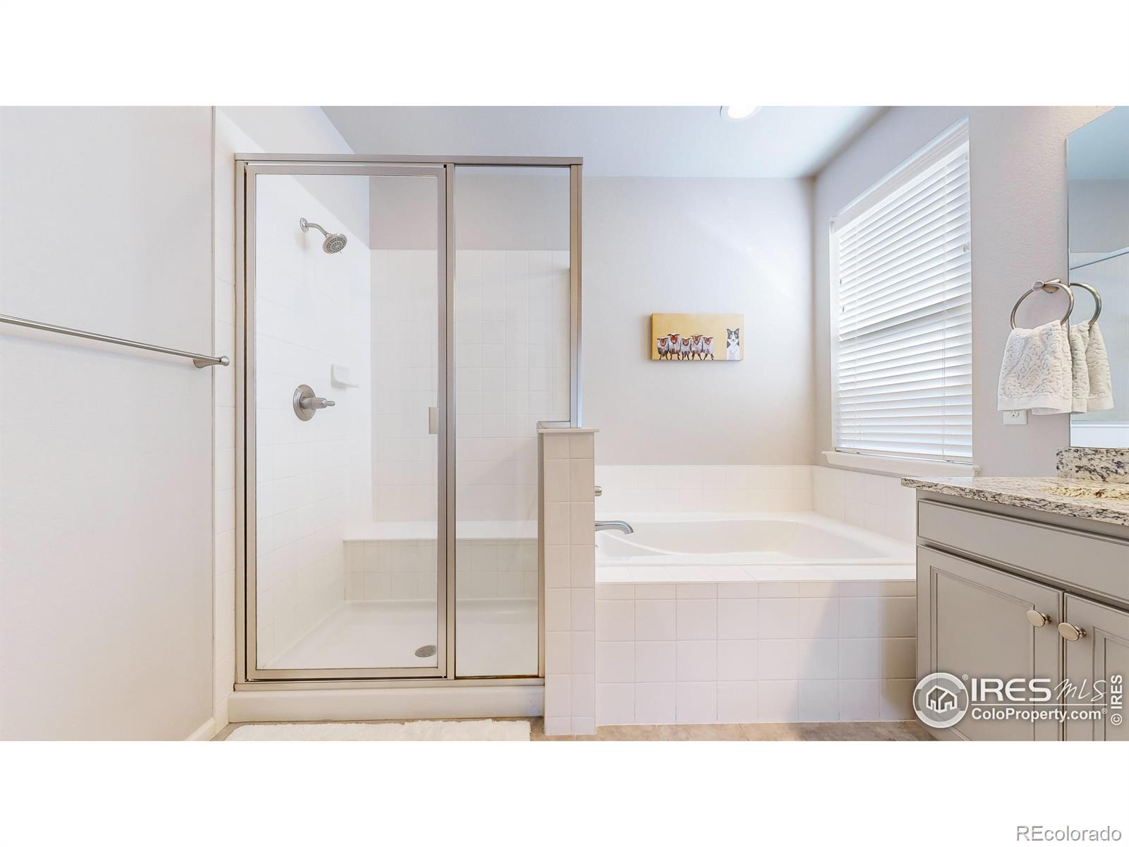 MLS Image #16 for 3183  booth falls drive,loveland, Colorado